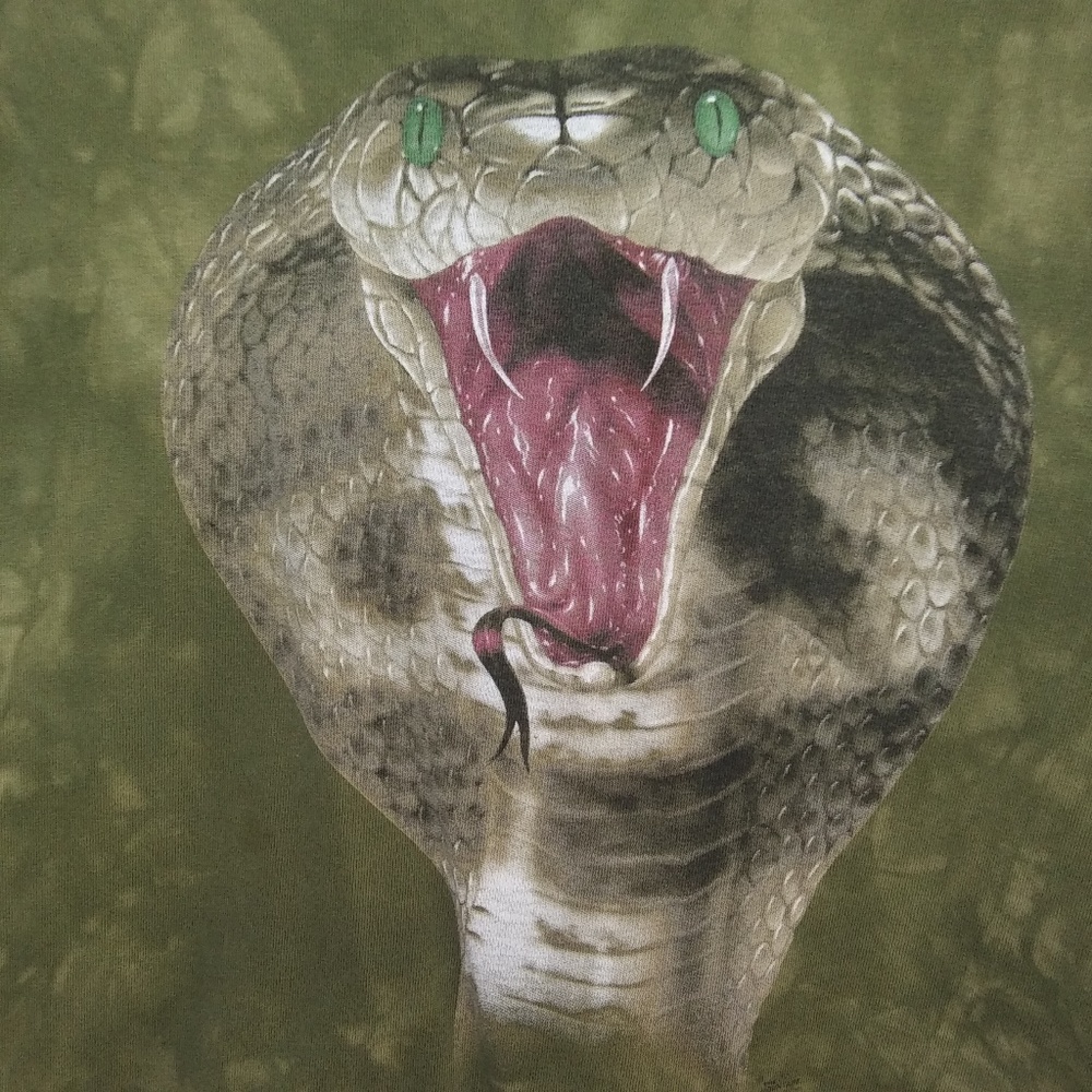 Snake Charmer Green Boys XL T-Shirt - Picture 2 of 6